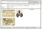 Karteikarte zum Syntyp von Quinqueloculina vermicularis Karrer, 1868